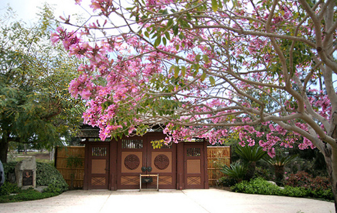 Japanese Garden Ceremonial Gate